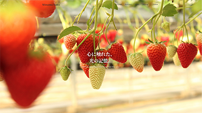 P-002 フォトグラファーサイト