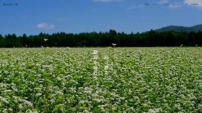 S-006 飲食店向けサイト／蕎麦
