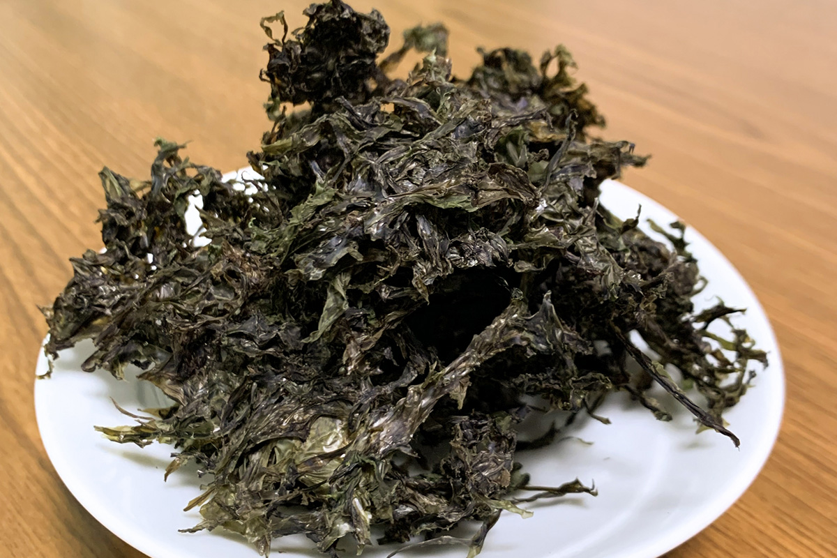 岩海苔